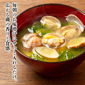 あおさ 15g×8袋 セット 小分け あおさ