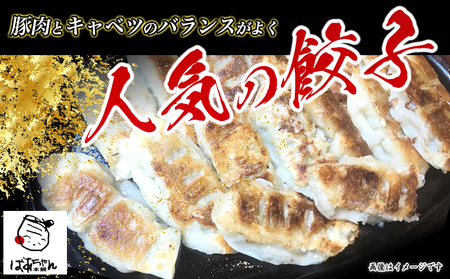 【お中元】ばあちゃん本舗餃子108個_AA-1514-SG_(都城市) ばあちゃん本舗餃子 12個入り×9パック 豚肉とキャベツ 餃子のタレ付 焼き餃子 揚げ餃子 水餃子 おかず お中元 夏ギフト