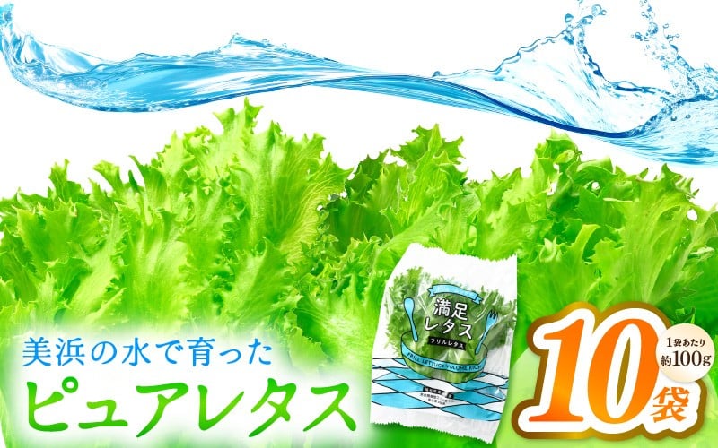 
                  美浜の水で育ったピュアレタス　フリルレタス 10袋【栽培期間中 農薬不使用 野菜 生野菜 レタス グリーンリーフ サラダ サンドイッチ お弁当 水耕栽培 洗わず食べられる 時短 付け合わせ ダイエット ヘルシー】[m40-a028]
                