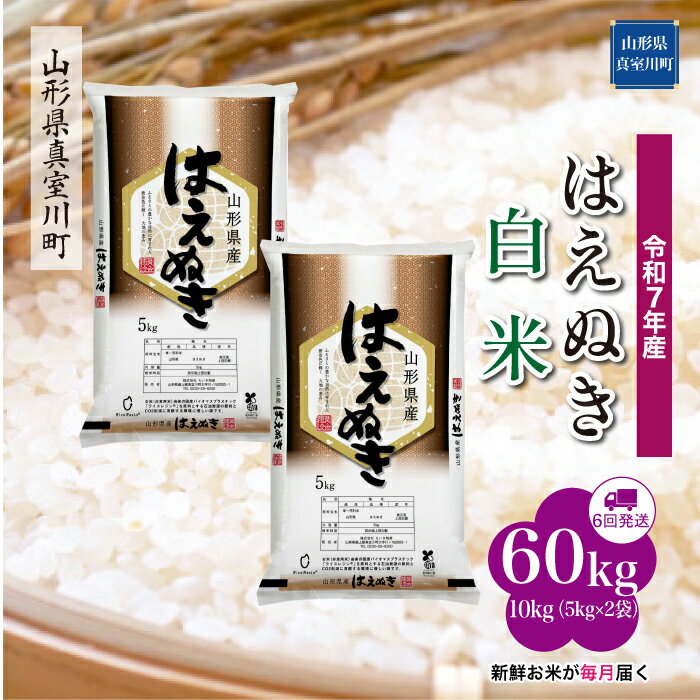 【ふるさと納税】 令和7年産 真室川町厳選 はえぬき ［白米］ 60kg 定期便（10kg×6回お届け）