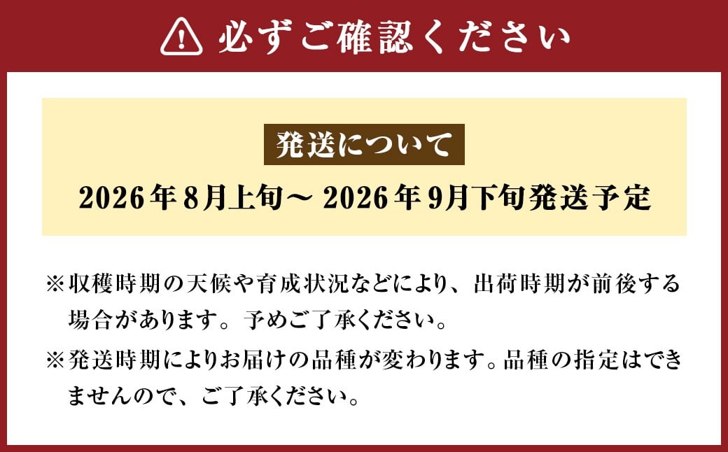 【ご家庭用】 九重町産 梨 詰め合わせ 約3kg （約6～8個）