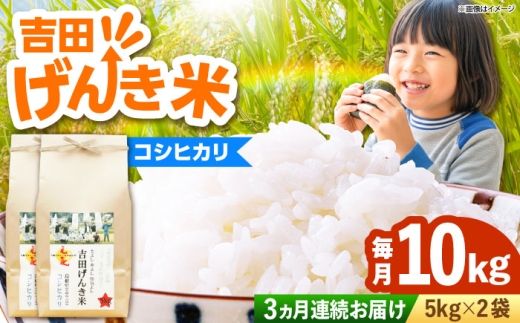 【令和8年産 コシヒカリ 新米 先行予約】 10kg×3回 定期便（計30kg）吉田げんき米 島根県雲南市産 白米 精米 米 お米 新米定期便 米定期便 10キロ [AIDB121-r8]