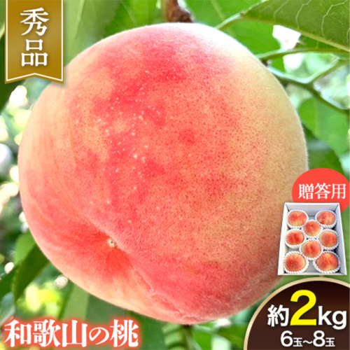 【贈答用】 秀品 和歌山の桃 約2kg (6玉～8玉) m&n果実園 【配送不可地域あり】 《2026年6月中旬-7月下旬頃出荷》和歌山県 紀の川市 モモ 桃 もも 旬 白鳳 日川白鳳 なつっこ 果物 フルーツ 贈り物 ギフト