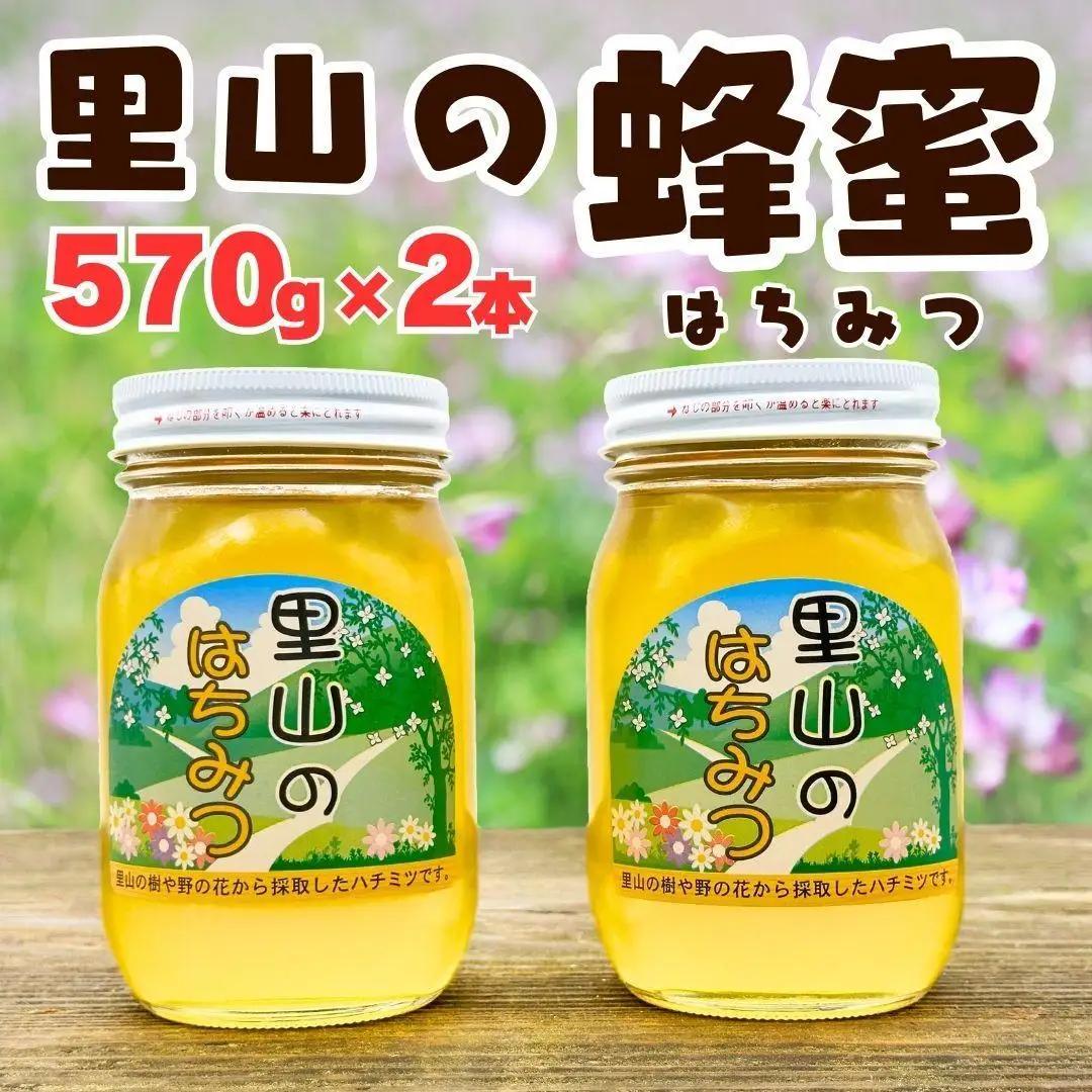 ありだ里山の蜂蜜 570g×2本セット 化粧箱入り