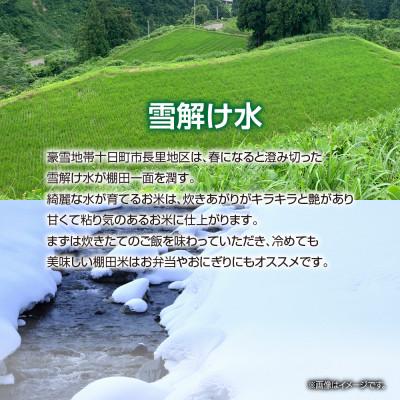 ふるさと納税 十日町市 魚沼産 コシヒカリ 長里 棚田米 5kg 新潟県十日町市 |  | 01