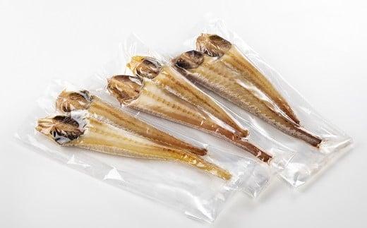 【2025年4月発送】知床羅臼産 八角（ハッカク） トクビレ 一夜干し 200g×3パック 干物 はっかく 高級魚 海鮮 魚介 北海道 生産者 支援 応援
