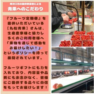 ふるさと納税 寒河江市 【発送月固定定期便】【山形の厳選果物】人気の3種 フルーツ 定期便 〜爽(そう)全3回 |  | 01