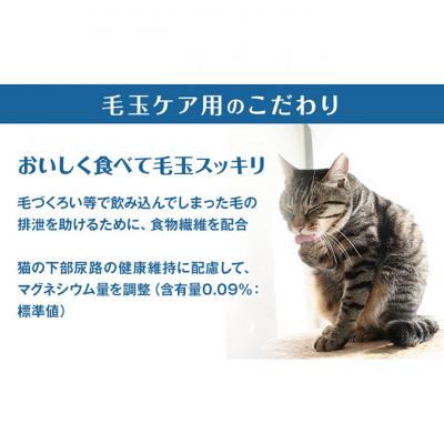 ふるさと納税 伊丹市 銀のスプーン三ツ星グルメ お魚クリーム 毛玉ケア まぐろ・かつお味 猫のご飯[54030499] |  | 02