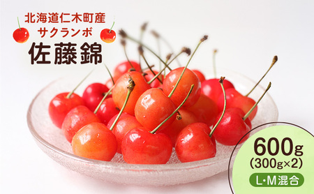 先行受付 北海道 仁木町産 さくらんぼ 佐藤錦 600g （300g×2） L・M混合　旬の果物 サクランボ チェリー フルーツ 果物 果物類  仁木町 仁木 [UMIX FARM]