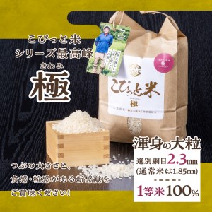 【令和５年産】こぴっと米【極】2kg 【農林48号】２kg詰め合わせ