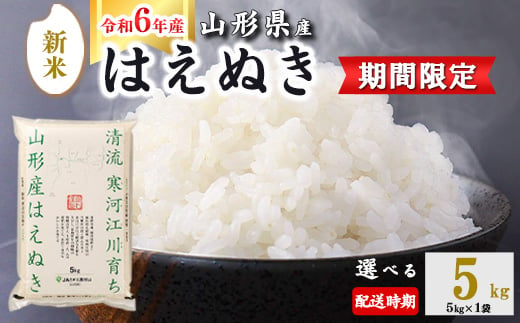 ＜ 2025年4月下旬＞ 令和6年産 はえぬき 5kg (5kg×1袋)  山形県産 010-C-JA007-2025-04G