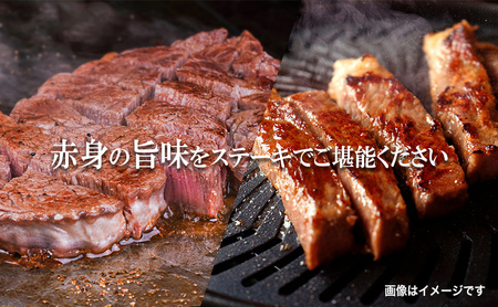 【8/31まで受付】 もりおか短角牛 ステーキ ロース 500g 250g×2枚 冷凍トゥレイス