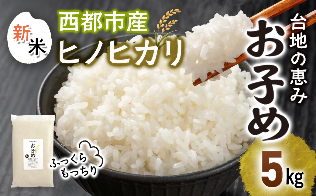 【先行受付】令和8年産ひのひかり5kg～台地の恵み『お子め』～西都市産【※10月以降順次発送】精米済み＜59-2a＞