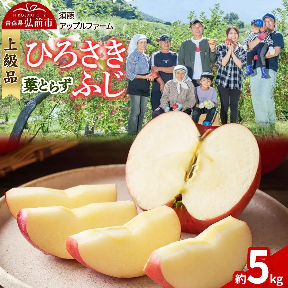 【26年10月発送】りんご ひろさきふじ 葉とらず【上級品】約5kg 贈答用 青森県 弘前市 果物 フルーツ 林檎 リンゴ くだもの ギフト 贈り物