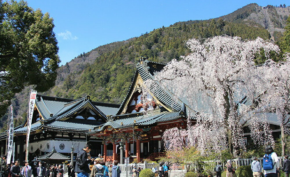 【ふるさと納税】【選べる】山梨県身延町 日本旅行 地域限定旅行クーポン 30,000～300,000円分 ホテル 旅館 宿泊券 チケット クーポン券 商品券 利用券 ギフト券 旅行 観光 記念日 山梨県 身延町 送料無料
