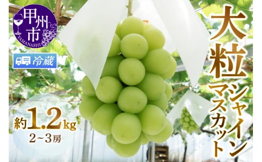 【クール便発送】甲州市産厳選旬の大粒シャインマスカット 約1.2kg 2～3房【2026年発送】（MG）B12-472CO