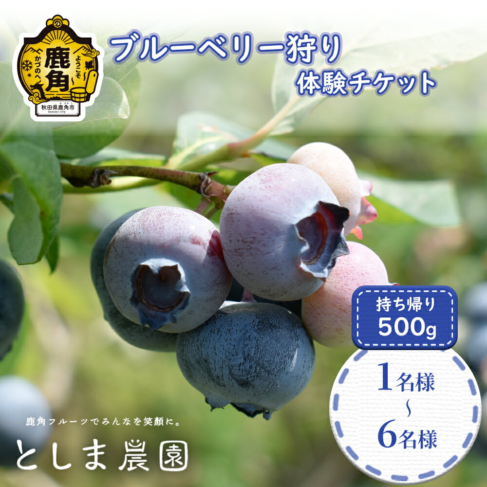 【ふるさと納税】《 令和8年度 》 ブルーベリー 狩り 1名様～6名様（持ち帰り500g付き） 体験 チケット イベント 7月 無制限 食べ放題 フルーツ 果物 旬 国産 生 500g ペアチケット 1人 2人 3人 4人 5人 6人 秋田県 ふるさと 秋田 鹿角市 送料無料 【としま農園】