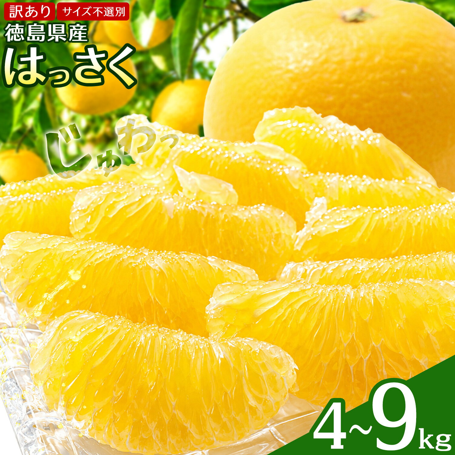 【ふるさと納税】八朔 はっさく 訳あり サイズ不選別 選べる 4kg 9kg 《2月上旬-2月下旬頃出荷》八朔 柑橘 果物 フルーツ 柑橘類 規格外 傷あり 徳島県 上板町