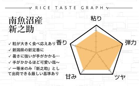 【令和7年新米予約】精米10kg 南魚沼産新之助（5kg×2袋）【令和7年10月中旬から順次発送予定】農家直送_AG