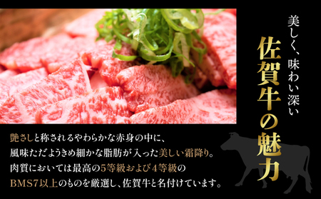 訳あり 佐賀牛焼肉切り落とし500g