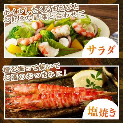 ふるさと納税 松浦市 加熱用 活き〆冷凍福島くるまえび500g |  | 02