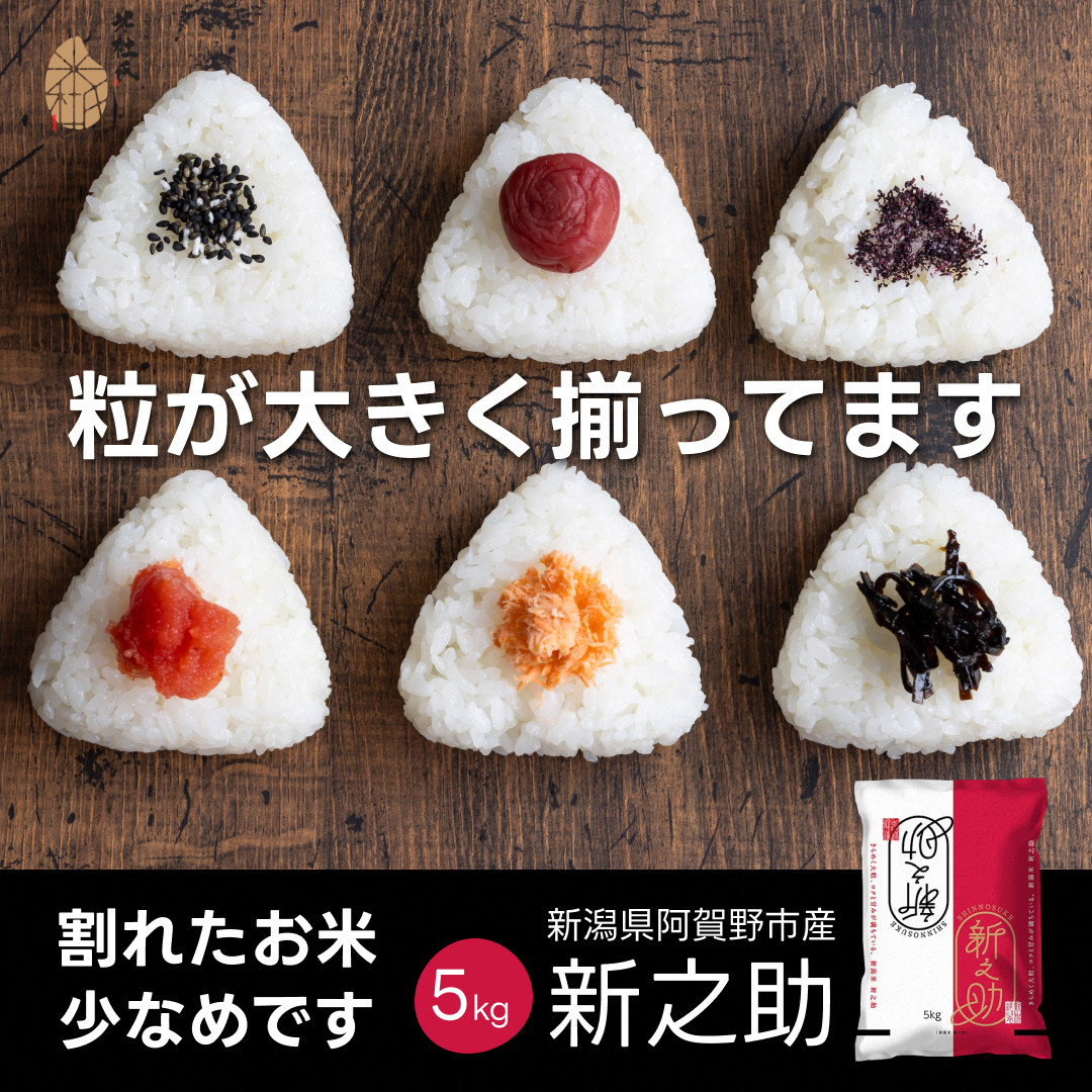 【新米 新之助 5kg】令和8年産 新潟県産新之助 米杜氏 5kg 白米 精米 壱成 | 新潟産新之助 阿賀野産新之助 阿賀野新之助 しんのすけ お米 米 ブランド米 おこめ コメ 5キロ 新米 一等米 大粒 にいがた あがの 新潟県 阿賀野市 1H51012