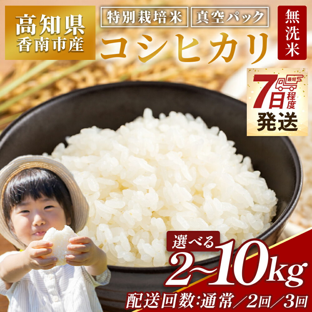 【ふるさと納税】令和7年産 無洗米 コシヒカリ 特別栽培米 真空パック（内容量：計2kg～約10kg）(定期便：1/2/3回)- 国産 米 お米 2キロ こしひかり 白米 どうぞ ごはん おにぎり ご飯 防災 非常食 備蓄 kome 高知県 香南市【常温】