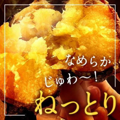 ふるさと納税 泉南市 □まるやま農園　冷凍焼き芋　2kg |  | 01