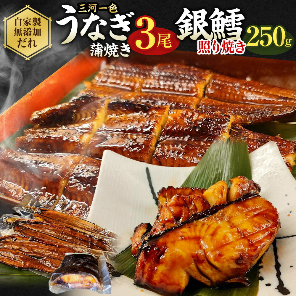 【ふるさと納税】三河一色産 うなぎ蒲焼き 中3尾+ 銀たら 照り焼き 250g 鰻 かば焼き 銀だら タラ 肝焼き タレ付き お魚 湯煎 惣菜 セット 簡単調理 冷凍 幸田町 送料無料