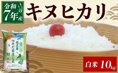 令和7年産 キヌヒカリ 白米 10kg 新米