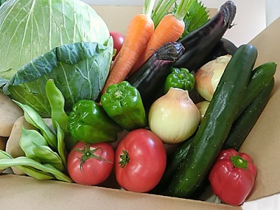 安芸 お野菜セット 新鮮野菜
