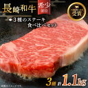 【ふるさと納税】【希少部位】長崎和牛 贅沢3種の ステーキ Aセット 計1.1kg【黒牛】 [QBD025] 肉 牛肉 シャトーブリアン サーロイン 焼き肉 BBQ バーベキュー お祝い 誕生日 記念日 さざちょう おすすめ 人気 9万4千円 94000円