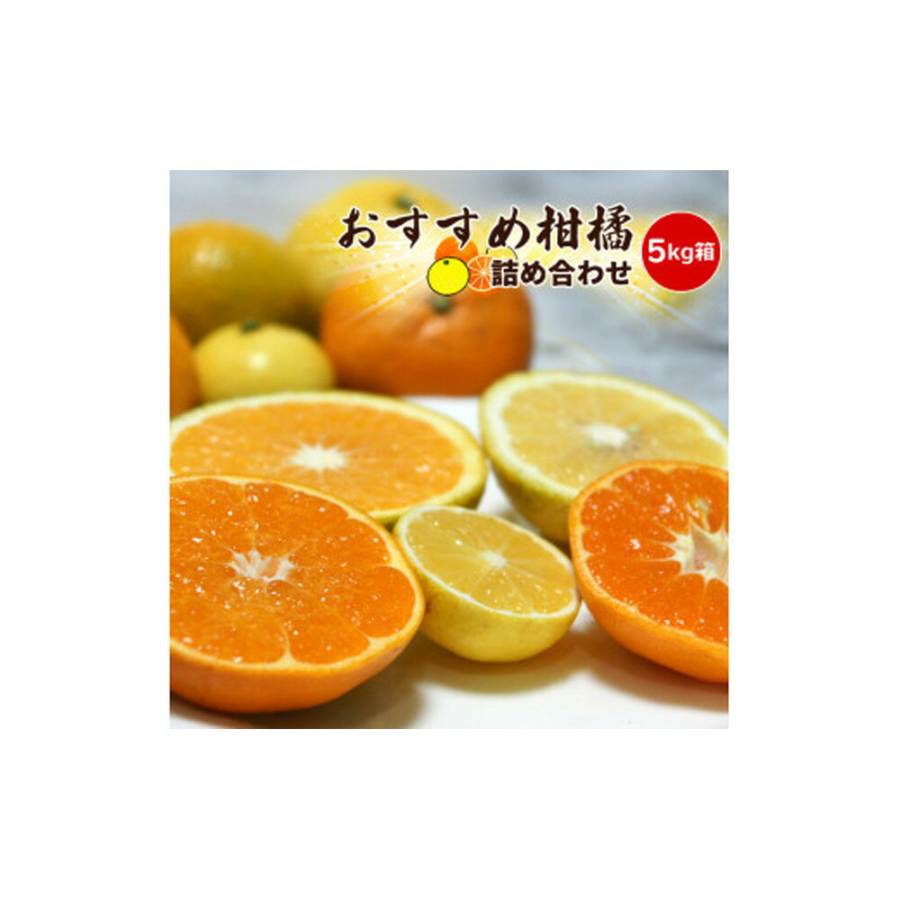 【ふるさと納税】【先行予約】各月おすすめ柑橘詰め合わせ5kg箱＜出荷開始：2026年1月15日~4月25日＞【 フルーツ 神奈川県 小田原市 】