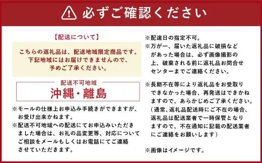[ 定期1ヶ月毎6回 ] 会津銘産 馬肉刺身 モモ 130g × 2本 （ ブロック ） 馬刺し 馬刺 馬肉 馬 お肉 肉 ニク にく 赤身 辛子味噌 おつまみ 晩酌 ヘルシー 国産 冷凍 定期便 定