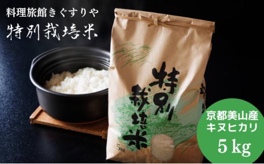 [№5334-0139]【令和8年度】 料理旅館きぐすりや 特別栽培米 キヌヒカリ 5kg 精米 白米 お米 こめ コメ 減農薬栽培 5 キロ ご飯 ごはん 京都　※9月下旬より順次発送