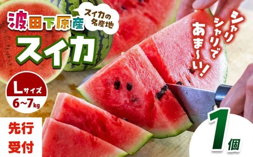 Heart-Landﾉﾑﾗ 波田下原産スイカ　Lサイズ　1個（6～７ｋｇ） | ふるさと納税 フルーツ 果物 スイカ 西瓜 波田スイカ 下原スイカ 夏 旬のスイカ 大玉スイカ シャリ感 野菜 長野県 松本市 人気 オススメ 先行受付 令和8年 発送