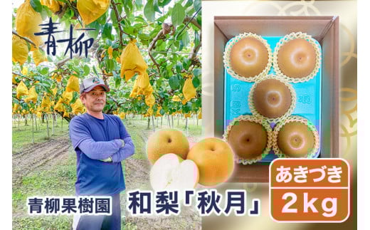 【2026年先行予約】青柳果樹園の和梨 秋月 2kg（3～5玉）《9月中旬～順次出荷》 果物  あきづき フルーツギフト 加茂市 青柳果樹園