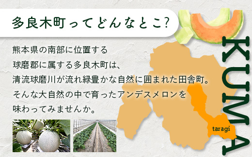 【2025年5月上旬～発送 先行予約】アンデスメロン 青肉 5玉 (合計 約4.5～5kg) 熊本県 多良木町産 果物 フルーツ メロン 先行予約 5個 青肉 ミツバチ交配 期間限定 数量限定 109