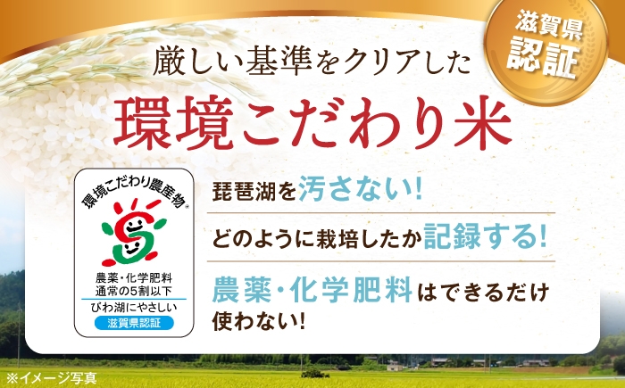 白米 コシヒカリ 18kg 米 お米 コメ 精米 kome こしひかり ご飯 ごはん ゴハン おにぎり 人気 おすすめ 長浜市
