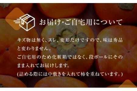 先行予約 生産量日本一 豊橋石巻産 次郎柿 ご自宅用 5kg 柿 訳あり 不揃い (15～25玉) 甘柿 果物 フルーツ 10月 11月 愛知県 豊橋市