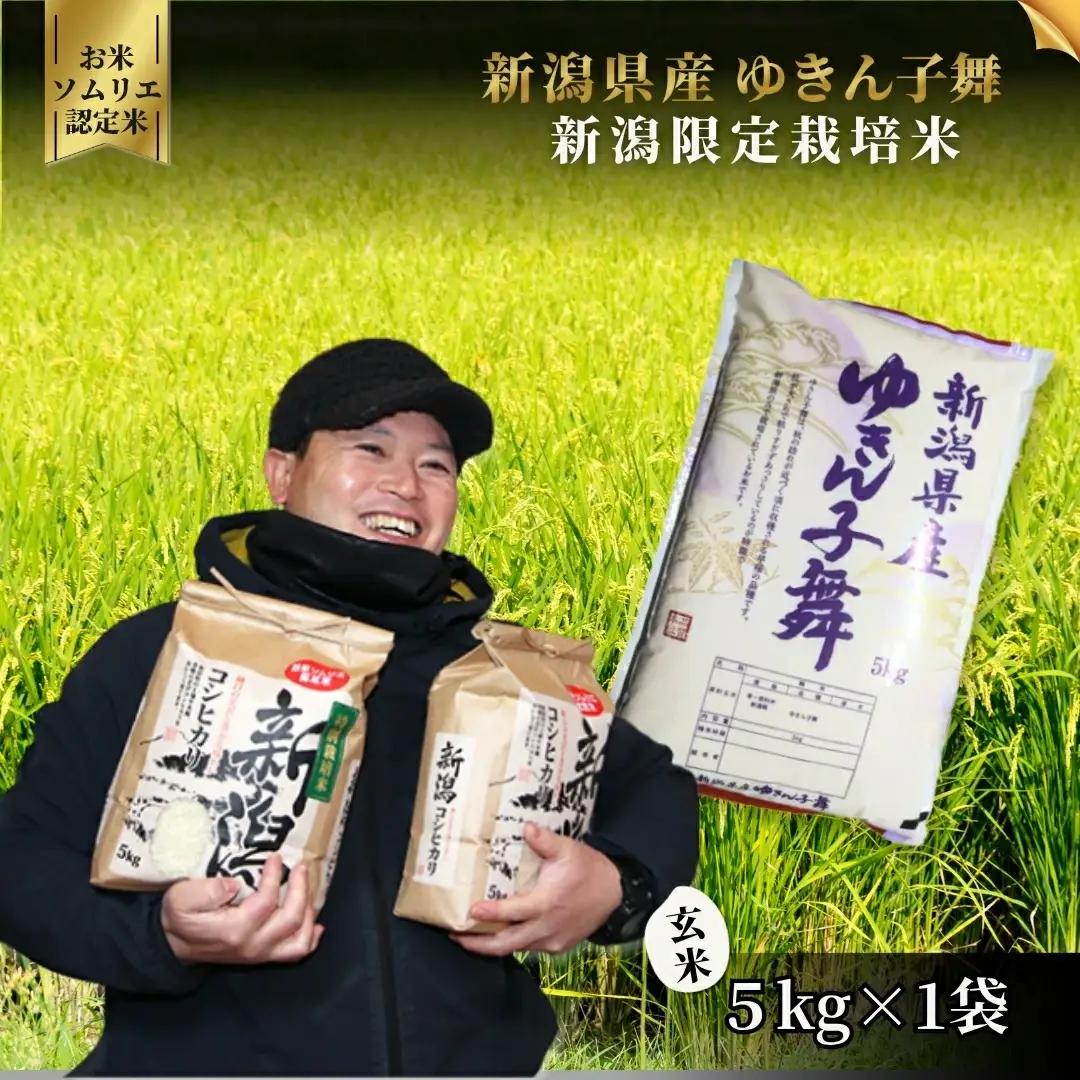 【先行予約】令和8年産 新米 ゆきん子舞 玄米 5kg【9月中旬発送開始】 | 新潟県産 米 玄米 五泉市