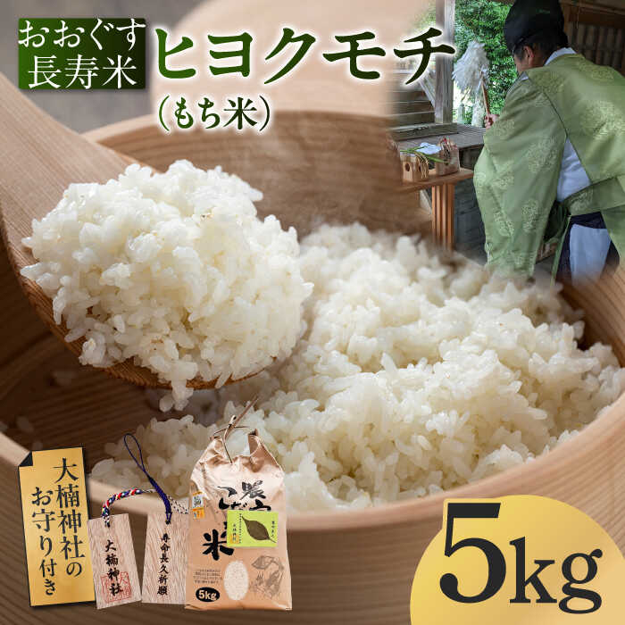 【ふるさと納税】【先行予約受付中】おおぐす長寿米「ヒヨクモチ（もち米）」 5kg 【2025年11月以降順次発送】[ABDP005]