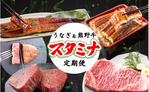 【2回定期便】【毎月お届け】－竹－ 国産うなぎ＆熊野牛 スタミナ定期便 / 定期便 鰻 牛肉 サーロイン シャトーブリアン ヒレ 蒲焼 蒲焼き 霜降り 希少 うな重 うな丼 ひつまぶし ステーキ 人気 贈答 贈り物 ギフト プレゼント お祝い 冷凍便 クール便 【tkb364】