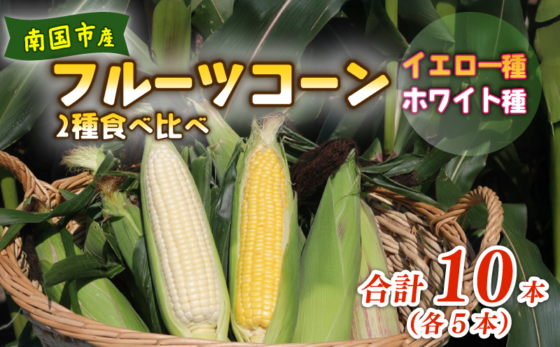 【2027年先行予約】南国フルーツコーン 2種食べ比べ 10本（イエロー種、ホワイト種、各5本）| とうもろこし トウモロコシ コーン スイートコーン フルーツとうもろこし もぎたて 新鮮 朝採れ 朝
