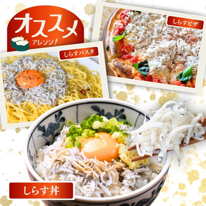 冷凍釜揚げしらす700g（100g×7パック） / シラス 厳選 小分け 冷凍便 お米のおとも【dig207-f-700】