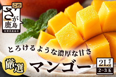   厳選！濃厚完熟マンゴー L・2Lサイズ（糖度15度以上）【2026年5月中旬頃から6月初旬発送】 B-406