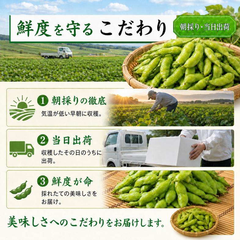 枝豆 くろさき 茶豆 1.5kg (7月中旬～8月上旬お届け) えだまめ