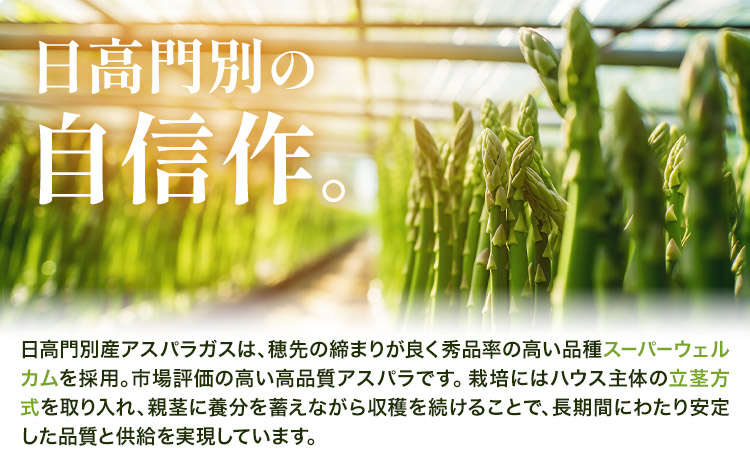 アスパラガス 秀品 アスパラ グリーンアスパラ 2L サイズ 2kg (500g×4) 門別町農業協同組合(生活資材課)《4月上旬-5月末頃出荷》北海道 日高町 送料無料 春野菜 春 朝採り 朝採れ 