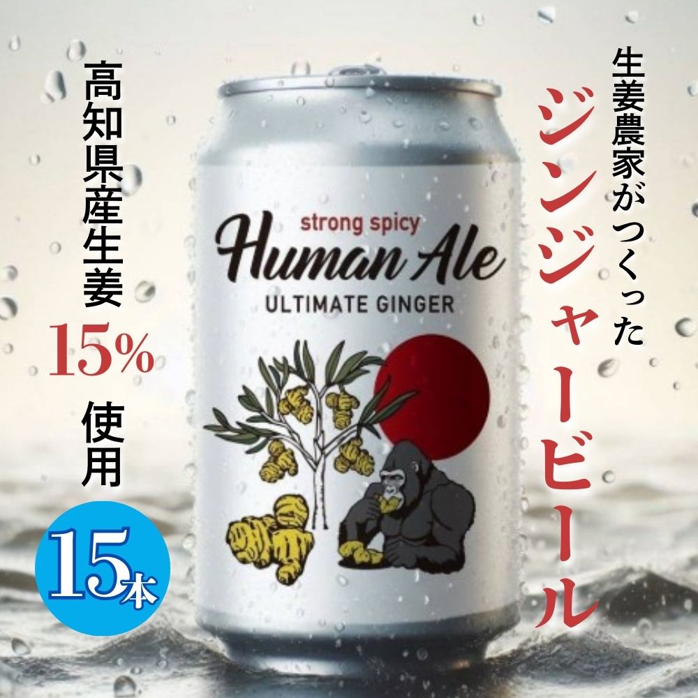 【ふるさと納税】　ジンジャービール 15本セット 生姜 ビール スパイシー 辛口 高知