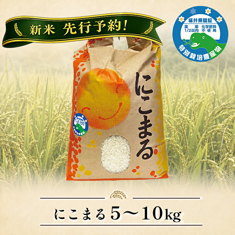 【ふるさと納税】新米先行予約！ 「にこまる」5kg 10kg 令和8年度産 令和7年度産 福井県越前市産 福井県特別栽培米/ 送料無料 福井県 越前市 米 ニコマル 減農薬 2026年度産 新生活(18209)